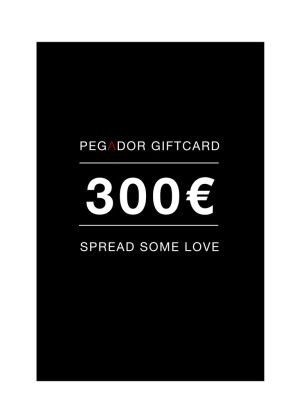 300€ Gift Card