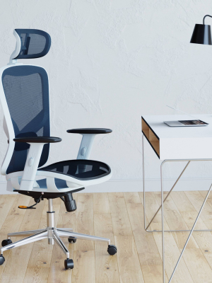 High Back Executive Mesh Office Chair Blue - Techni Mobili