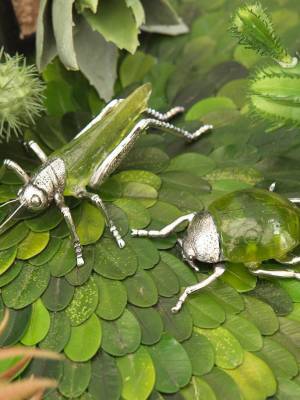 Decorative Grasshopper And Ladybug