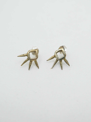 *joshua Tree Earrings, Brass