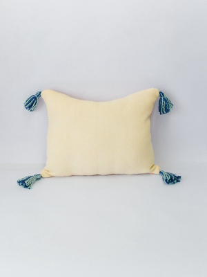 Jardín Throw Pillow Cover - Seaglass + Apricot