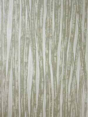 Charbagh Wallpaper In Ivory From The Persian Garden Collection By Osborne & Little