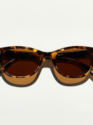 Bren Sun Polarized