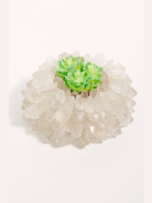 Crystalzxcacti Clear Quartz Crystal