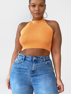 Plus Orange Knitted Halterneck Crop Top