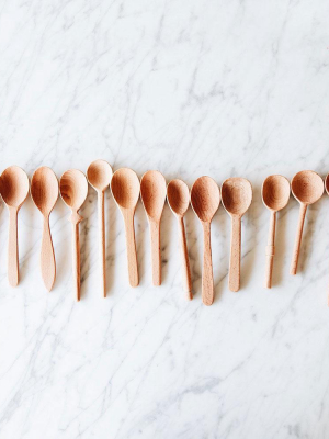 Baker's Dozen Beechwood Spoons - Small