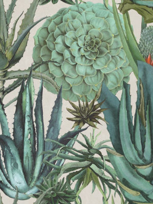 Succulents Wallpaper In Taupe And Green From The Rediscovered Paradise Collection By Mind The Gap