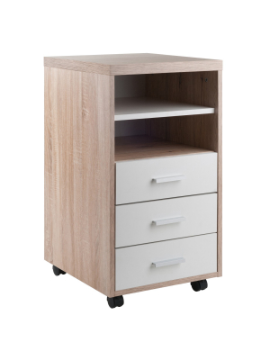 Kenner Mobile Storage Cabinet Wood - Winsome