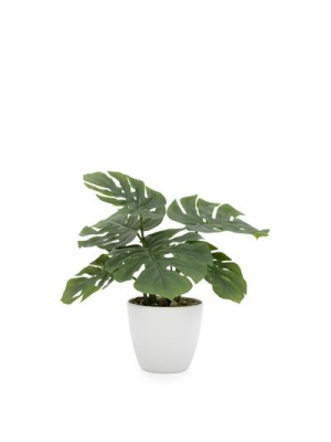 Villa Faux Potted 10" Plant - Monstera