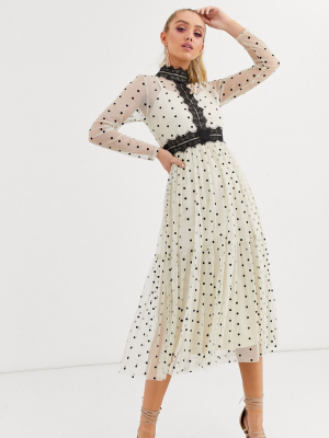 Lace & Beads Long Sleeve Polka Dot Midi Dress With Lace Inserts In Cream And Black