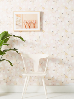 Anthropologie Thin Air Wallpaper