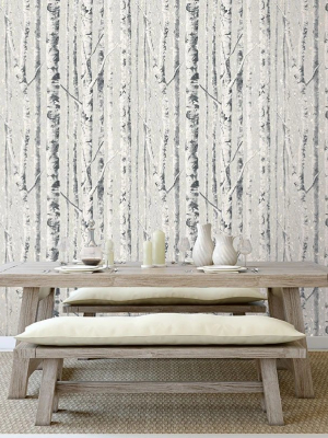 Birch Wallpaper In Frost From The Sanctuary Collection By Mayflower Wallpaper