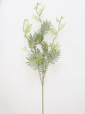 Artificial Tropical Mimosa Leaf Branch - 41"