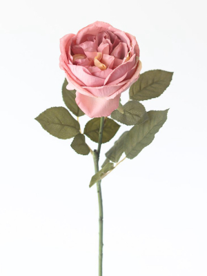 Silk English Cabbage Rose In Mauve - 25"
