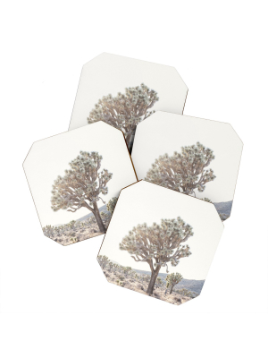 Bree Madden Desert Light Coaster Set - Deny Designs