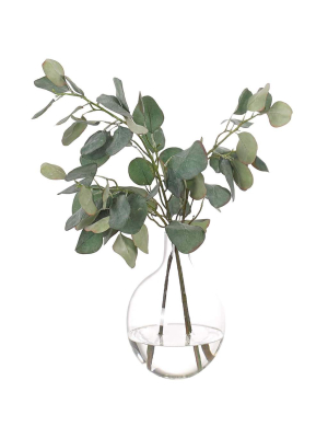 Eucalyptus In Glass Vase