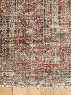 Amaris Rug - 8'3" X 14'