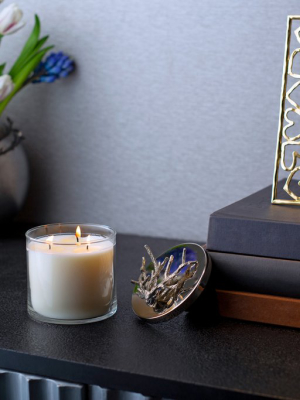 Ocean Reef Candle