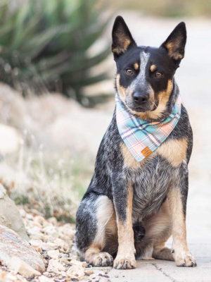 Pastel Plaid Flannel Dog Bandana