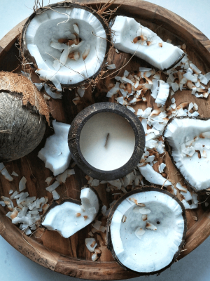 Toasted Coconut - Coconut Soy Candles