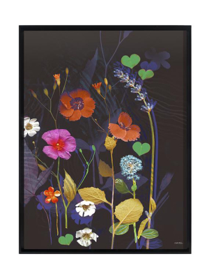 Katie Todaro, Wildflower Collection 3