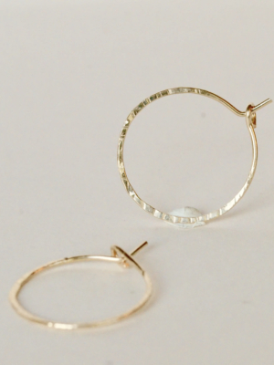 Cleopatra Hoop Earrings - Gold Filled