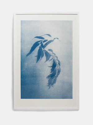 Will Adler 'seaweed' Print, Edition Of 100
