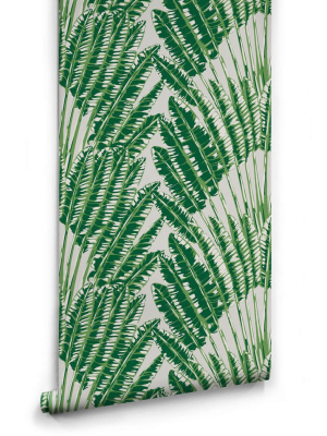 Feather Palm Wallpaper In Aloha From The Kingdom Home Collection By Milton & King