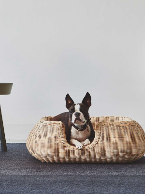 Mio Dog Basket