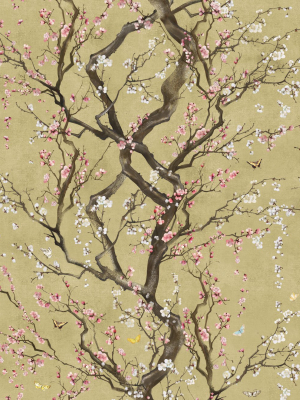 Plum Blossom Wallpaper In Gold From The Kingdom Home Collection By Milton & King