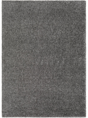 Deluxe Shag Rug