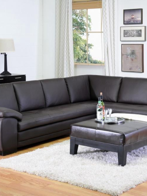 Dacia Dark Brown Chaise Sectional Sofa