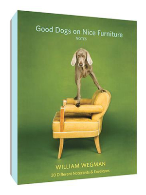 Good Dogs On Nice Furniture Notes