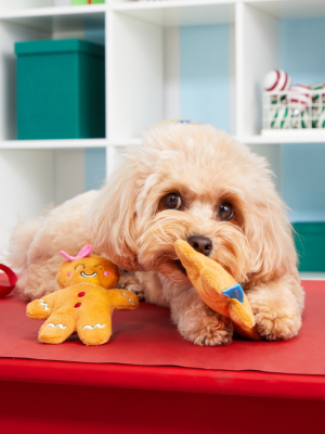 Bark Ginger And Roger Dog Toy