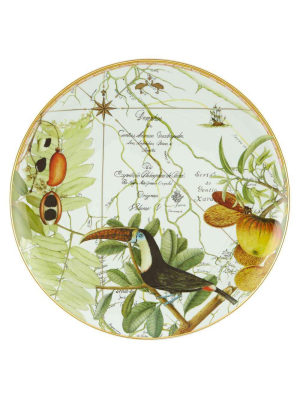 Vista Alegre Amazonia Plate