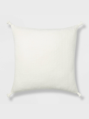 Euro Soft Texture Tasseled Throw Pillow - Project 62™