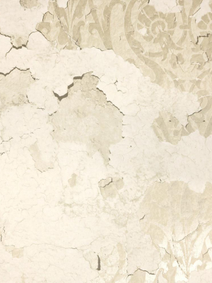 Torn Floral Wallpaper In Grey And Cream From The Precious Elements Collection By Burke Decor