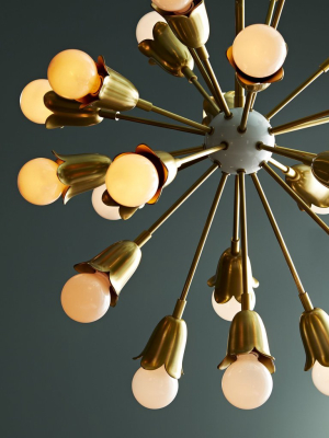 Eva Chandelier