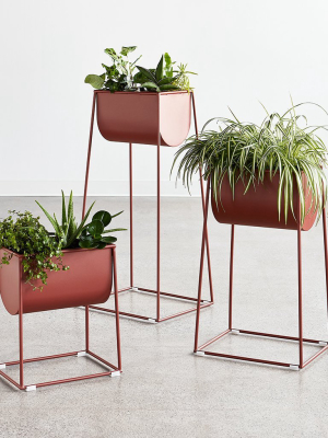 Modello Planters