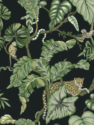 Jungle Cat Wallpaper In Black From The Traveler Collection By Ronald Redding