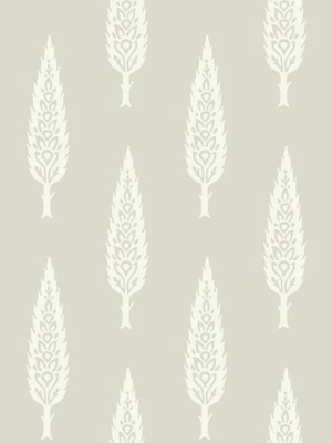 Juniper Tree Wallpaper In Taupe From The Silhouettes Collection By York Wallcoverings