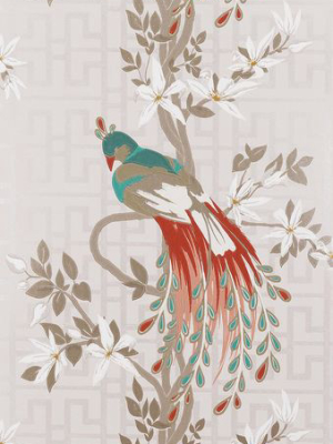 Sample Paradiso Wallpaper In Tan And Multi-color By Nina Campbell