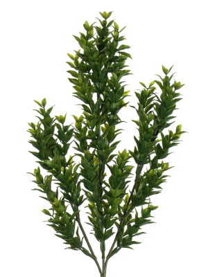 Vickerman 25.5" Artificial Green Mini Leaf Bush. Uv Coated