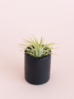 Mini Concrete Planter