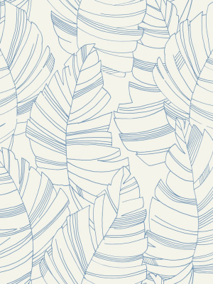 Jungle Leaves Wallpaper In Carolina Blue From The Day Dreamers Collection By Seabrook Wallcoverings