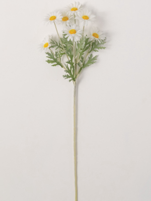 Sullivans Artificial Margurite Daisy Stem 23"h Off-white Flowers