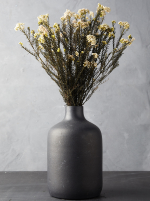 Preserved Rice Flower Bunch, White