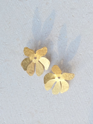 Wee Gold Tahiti Earrings