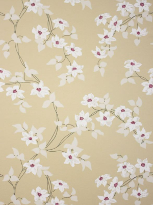 Sample Malleny Wallpaper In Beige From The Montacute Collection By Nina Campbell