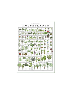 The Horticultural Chart Of Houseplants - 16 X 20 Pickup Only